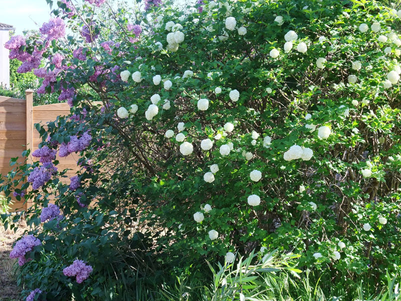 Image 13