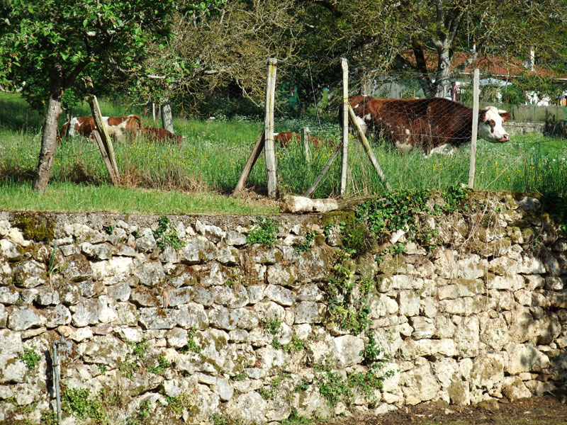 Image 14