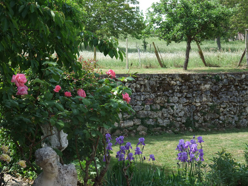 Image 25