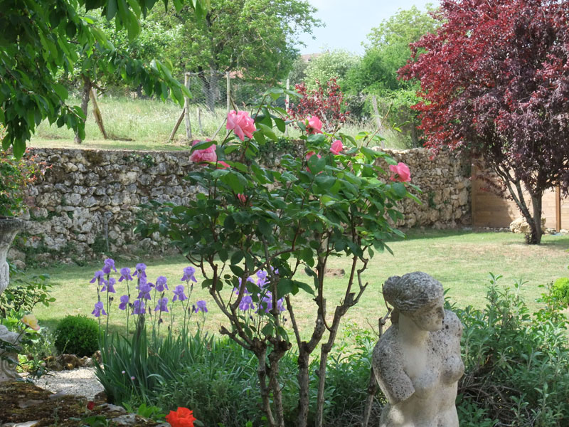 Image 26