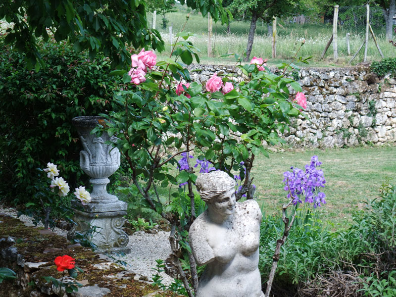 Image 30